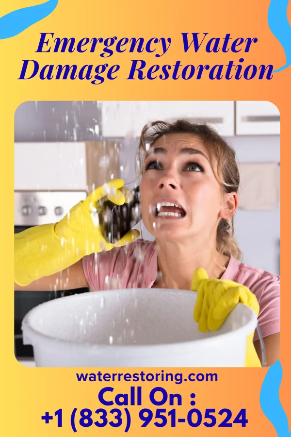 Emergency Water Damage Restoration in Danville, VA