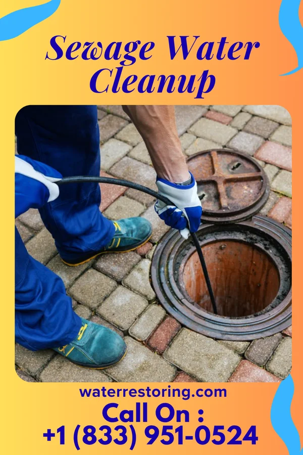 Sewage Water Cleanup in Danville, VA